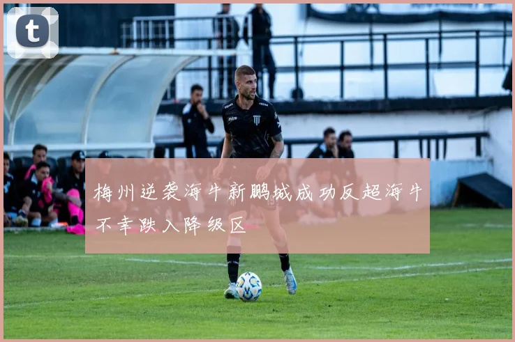 梅州逆袭海牛新鹏城成功反超海牛不幸跌入降级区