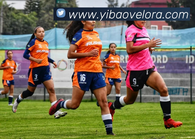 App Interface Preview